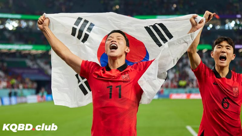 Các thành tựu nổi bật nhất của bóng Hàn Quốc Các thành tựu nổi bật nhất của bóng Hàn Quốc