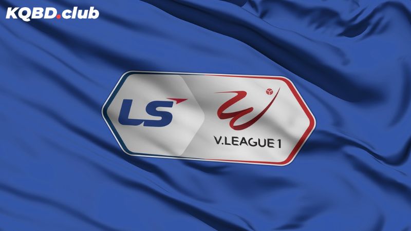 Các giải đấu quốc nội tại Việt Nam Các giải đấu quốc nội tại Việt Nam